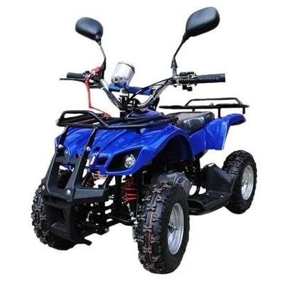 Квадроцикл RAPTOR Max Pro 49cc (2024) в Москве