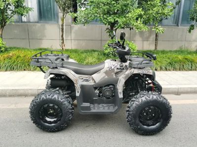 купить Квадроцикл MOTAX ATV Grizlik T200 Lux Б/У в Москве - фото 