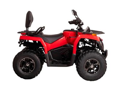 купить Квадроцикл BIZON YK200 Basic Carb в Москве - фото 