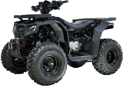 Квадроцикл ПРОГАСИ Race Jumper 200 Max Power в Москве