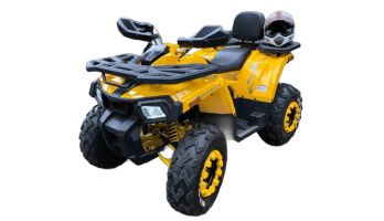 Квадроцикл MOTOLAND 200 Wild Track X в Москве