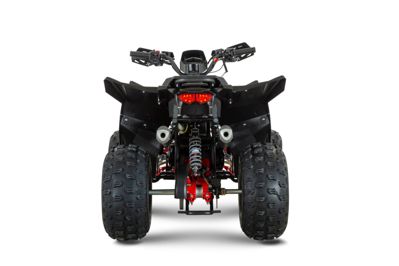 купить Квадроцикл BRZ Drake 125 Pro в Москве - фото 