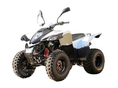 купить Квадроцикл ADLY ATV-150S в Москве - фото 