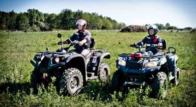 купить Квадроцикл BALTMOTORS Striker 700 EFI (ПСМ) в Москве - фото 