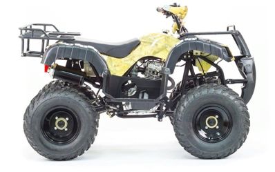 купить Квадроцикл MOTOLAND 250 Adventure (2021 Г.) в Москве - фото 