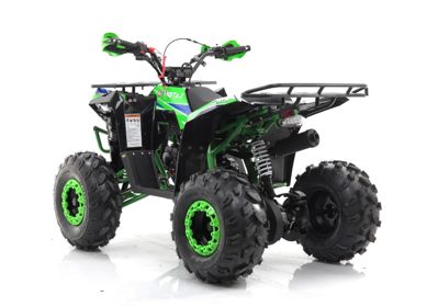 купить Квадроцикл MOTAX Grizlik A125 в Москве - фото 