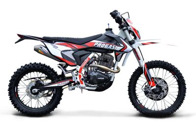 купить Мотоцикл кроссовый эндуро ПРОГАСИ Ibiza 300 в Москве - фото 