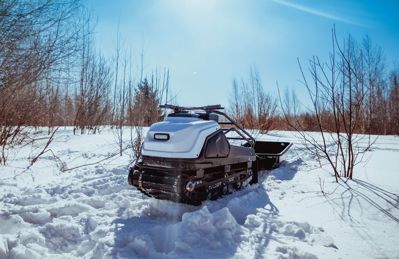 купить Мотобуксировщик TINGER Dog 13.5 л.с. в Москве - фото 