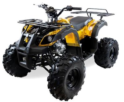 купить Квадроцикл MOTAX ATV Grizlik-8 125 в Москве - фото 
