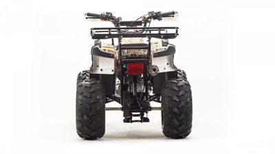 купить Квадроцикл MOTOLAND 125 Fox в Москве - фото 