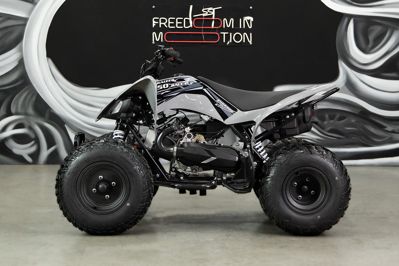 купить Квадроцикл SHARMAX Raizer Race Cup 250 в Москве - фото 