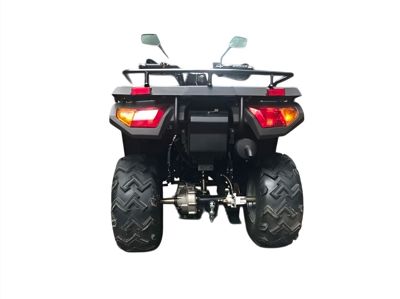 купить Квадроцикл RATO RT250ST Premium в Москве - фото 