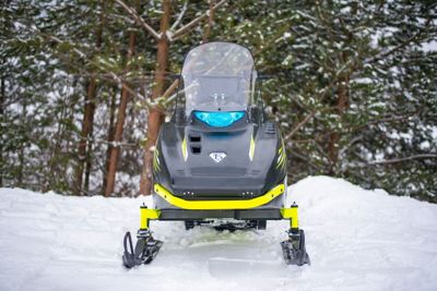 купить Мини-снегоход БУРЛАК Азимут 24 л.с. в Москве - фото 