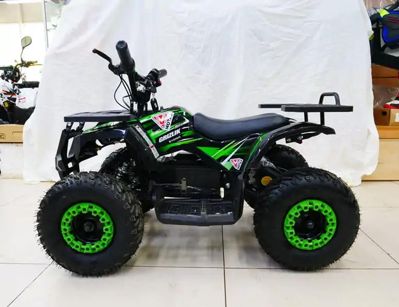 купить Электроквадроцикл MOTAX Grizlik X16 New E1000 в Москве - фото 