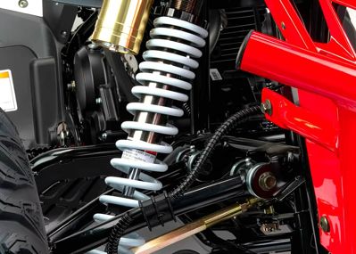 купить Квадроцикл MOTOLAND RALLY 250 в Москве - фото 