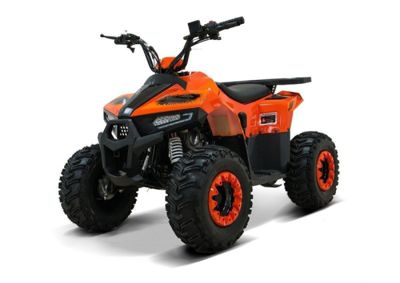 Квадроцикл ATV Giro в Москве