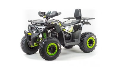 купить Квадроцикл BISON Track LUX в Москве - фото 