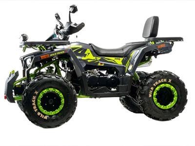 Квадроцикл MOTOLAND 200 Wild Track X Winch в Москве