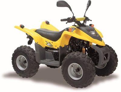 купить Квадроцикл ADLY 100 в Москве - фото 