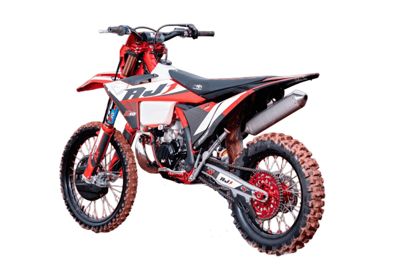 купить Мотоцикл кроссовый эндуро AJ 1 AX300-2T в Москве - фото 