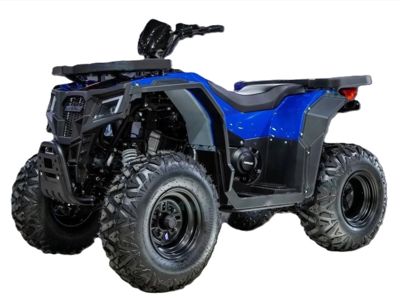 Квадроцикл ПРОГАСИ Race Jumper 200 SE в Москве