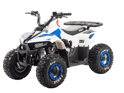 купить Квадроцикл MOTOLAND 110 Eagle (2021 Г.) в Москве - фото 