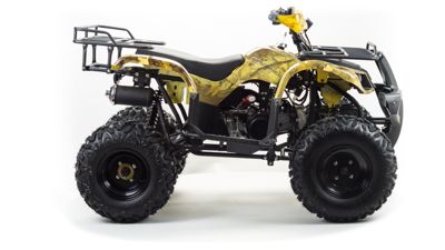 купить Квадроцикл MOTOLAND 150 Maverick в Москве - фото 