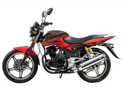 купить Мотоцикл RACER Magnum RC200-C5B ENDURO в Москве - фото 