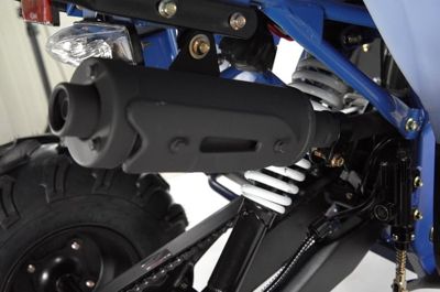 купить Квадроцикл WELS Thunder EVO в Москве - фото 