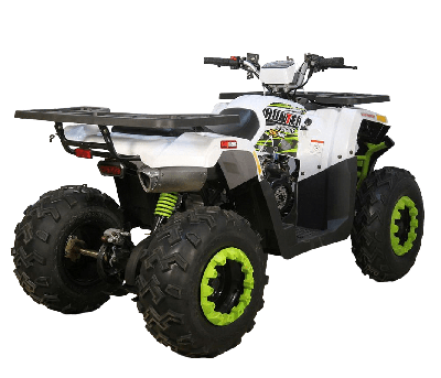 купить Квадроцикл AVANTIS H200 NEW (Баланс. вал) в Москве - фото 