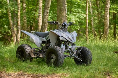 купить Квадроцикл SHARMAX Raizer Race Cup 250 в Москве - фото 