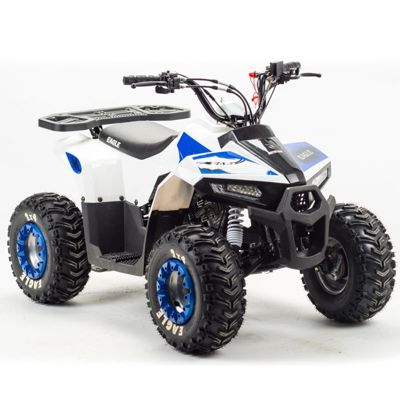 купить Квадроцикл MOTOLAND 110 Eagle (2021 Г.) в Москве - фото 