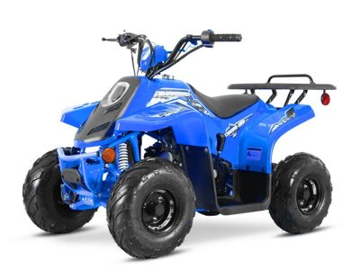 купить Квадроцикл SHARMAX 130 Cross в Москве - фото 