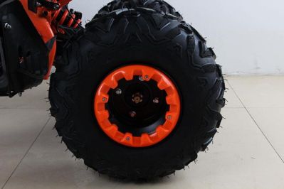 купить Квадроцикл MOTAX ATV T-Rex Super LUX 50 cc в Москве - фото 