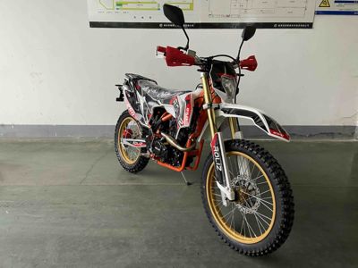 купить Мотоцикл кроссовый эндуро ROLIZ Sport-007 в Москве - фото 