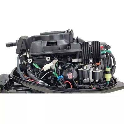 купить 4х-тактный лодочный мотор PARSUN F9.9ABMS-EFI в Москве - фото 