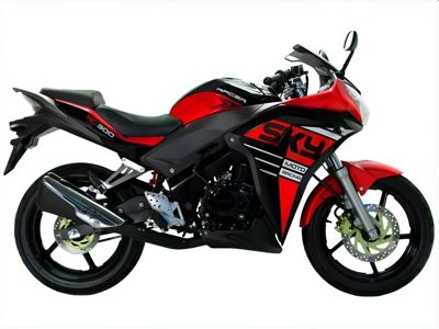 купить Мотоцикл RACER Skyway RC300CS ENDURO в Москве - фото 