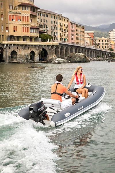 купить 4х-тактный лодочный мотор MERCURY F20 E EFI в Москве - фото 