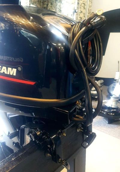 купить 2х-тактный лодочный мотор GOLFSTREAM T 40 FWS в Москве - фото 