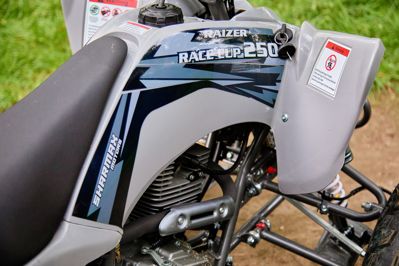 купить Квадроцикл SHARMAX Raizer Race Cup 250 в Москве - фото 