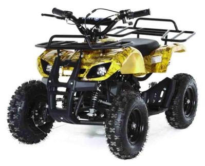 Квадроцикл MOTAX ATV Mini Grizlik X-16 в Москве
