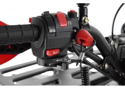 купить Квадроцикл WELS Thunder EVO LUX X 125 в Москве - фото 