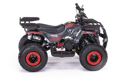 купить Квадроцикл MOTAX Grizlik X16 (PS) в Москве - фото 