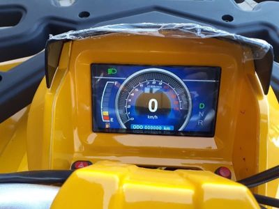 купить Квадроцикл MOTOLAND ATV 200 Wild Track в Москве - фото 