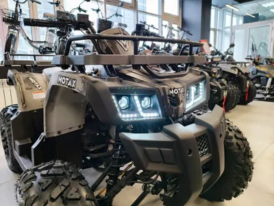 купить Квадроцикл MOTAX Grizlik T 200 в Москве - фото 