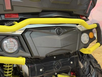 купить Квадроцикл АОДЕС PathCross 800L Mud Pro EPS LCD (ПСМ) в Москве - фото 