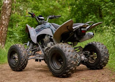 купить Квадроцикл SHARMAX Raizer Race Cup 250 в Москве - фото 