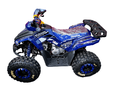 купить Квадроцикл MOTOLAND 125 Coyote Pro в Москве - фото 