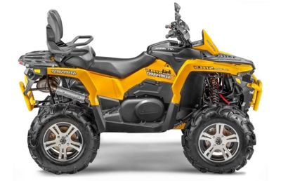 купить Квадроцикл СТЕЛС ATV 800G Guepard Trophy (ПСМ) в Москве - фото 