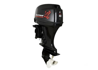 купить 2х-тактный лодочный мотор GOLFSTREAM T 40 FWS-T в Москве - фото 